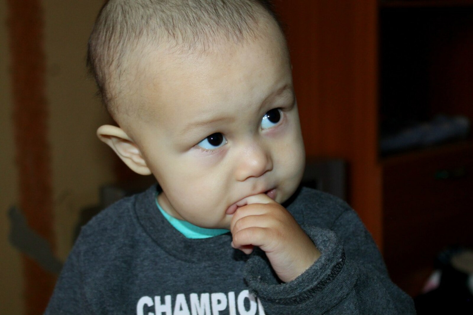 Кескәйҙәрҙе тәрбиәләгәндә хәйлә лә кәрәк!