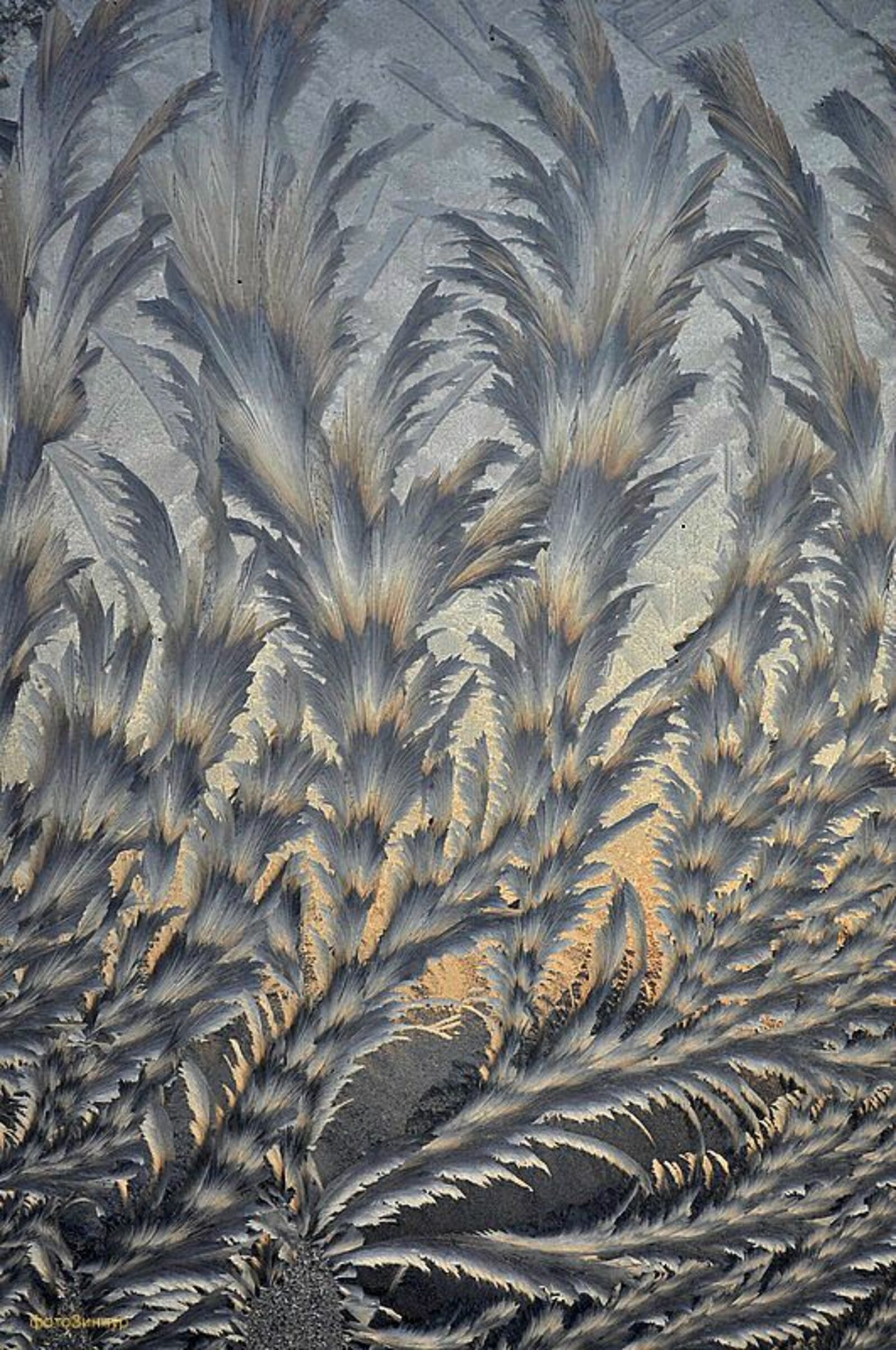 Тиҙәйткестәр, тел төҙәткестәр