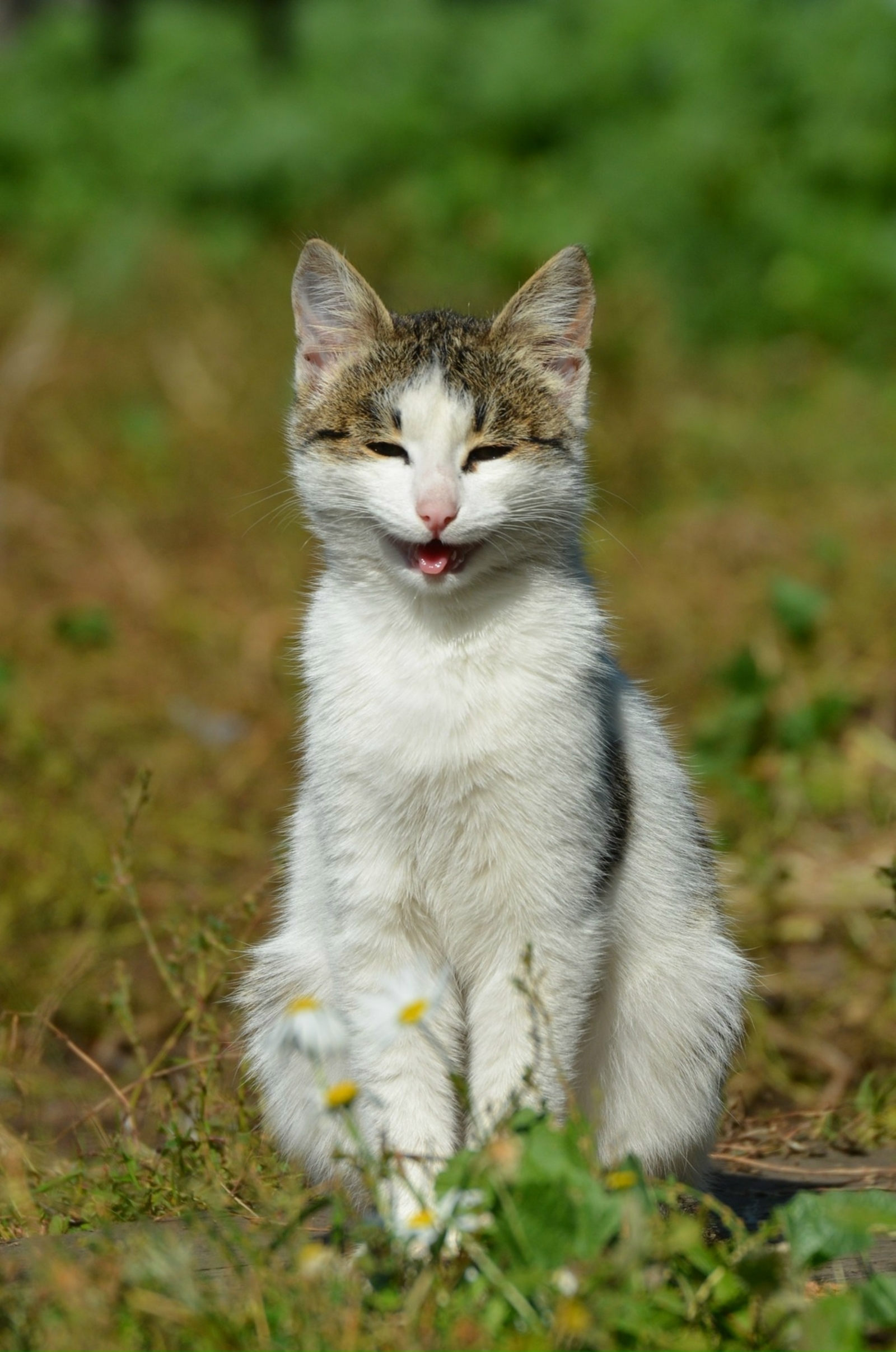 БАРМАҠТАР МЕНӘН УЙНАҒАНДА