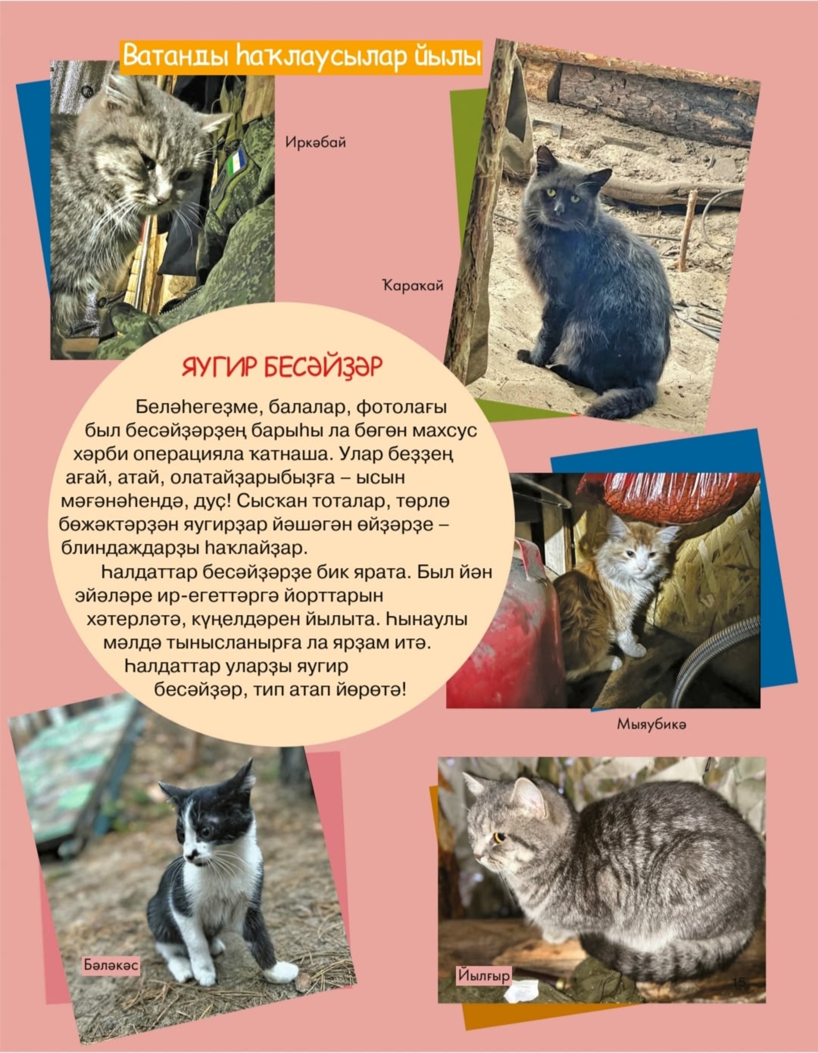 Ә һеҙ яугир бесәйҙәр менән танышып өлгөрҙөгөҙмө?