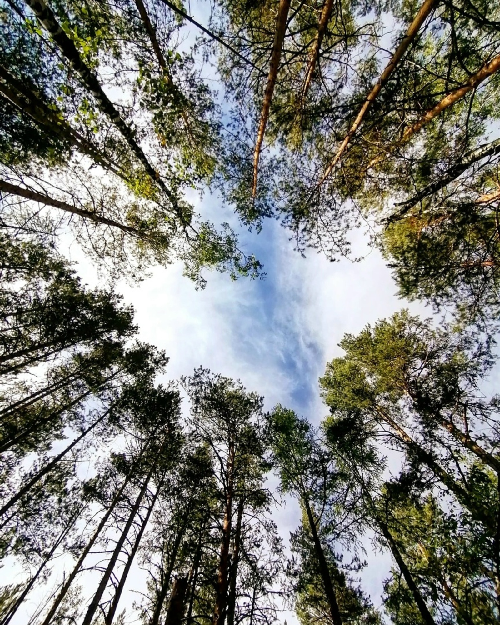 Айыуға ниңә ҡурҡыныс төштәр күргән?